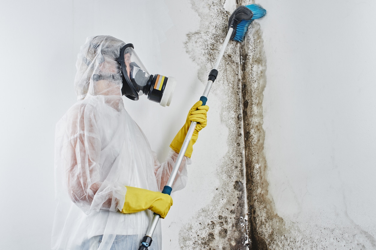 Mold remediation technician in protective suit and respirator scrubbing black mold from a wall with a long-handled brush.