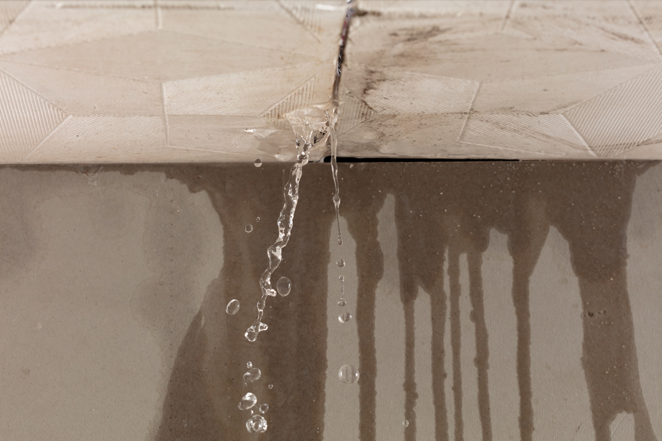 Roof leak in Nashville home causing water to drip from a ceiling seam onto a stained concrete surface below.