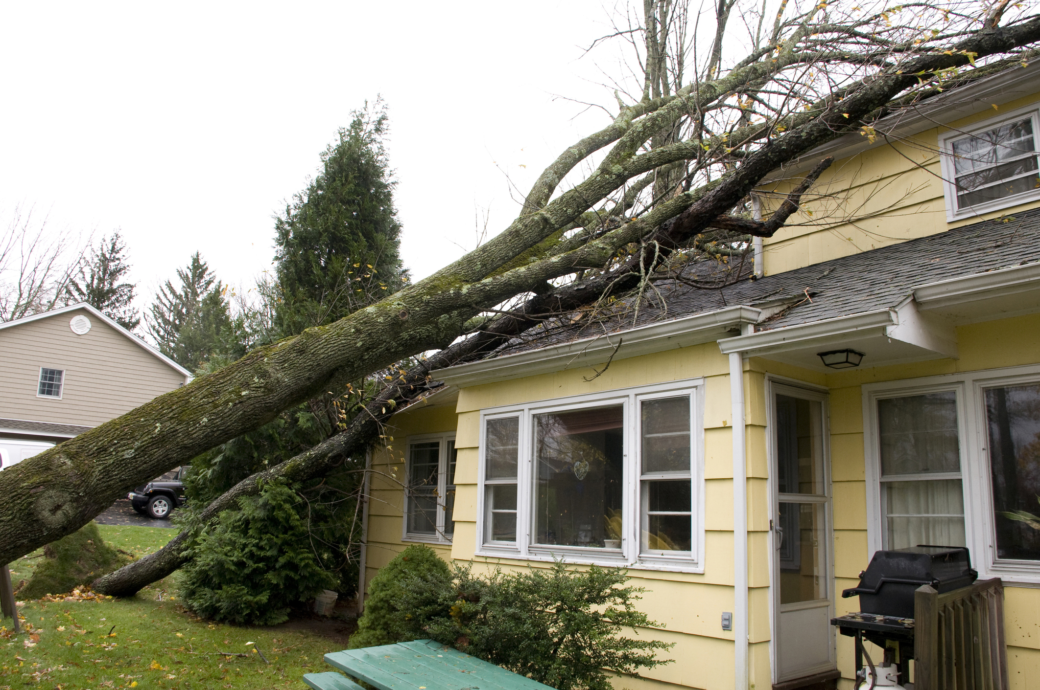 A fallen tree on a Nashville home with visible roof damage.